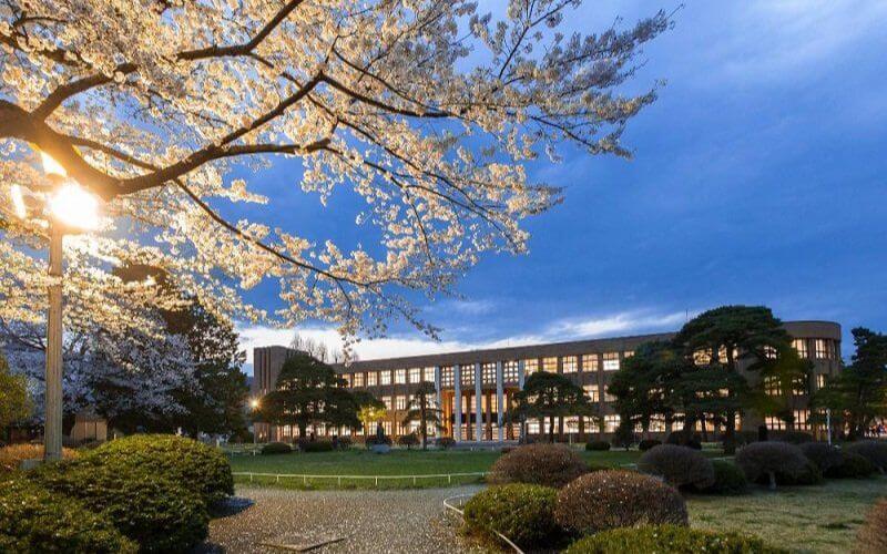 Trường quốc tế Nhật Bản- Trường Đại học Tohoku