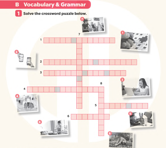Vocabulary and Grammar - Sách Bài Tập Tiếng Anh 8 Global Success PDF 