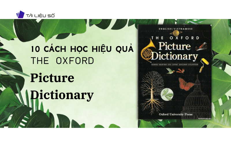 Hướng dẫn cách học sách Oxford Picture Dictionary 3rd Edition PDF một cách hiệu quả 