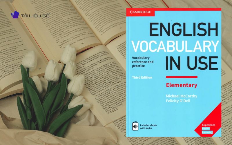 English Vocabulary in Use Elementary Answer key
