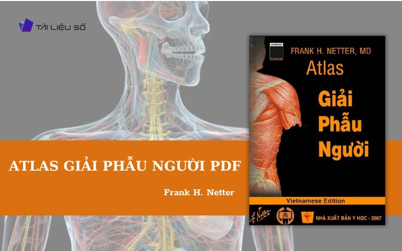 Sách Atlas giải phẫu người PDF