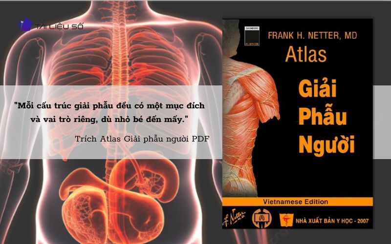 Câu nói hay trong sách Atlas giải phẫu người PDF