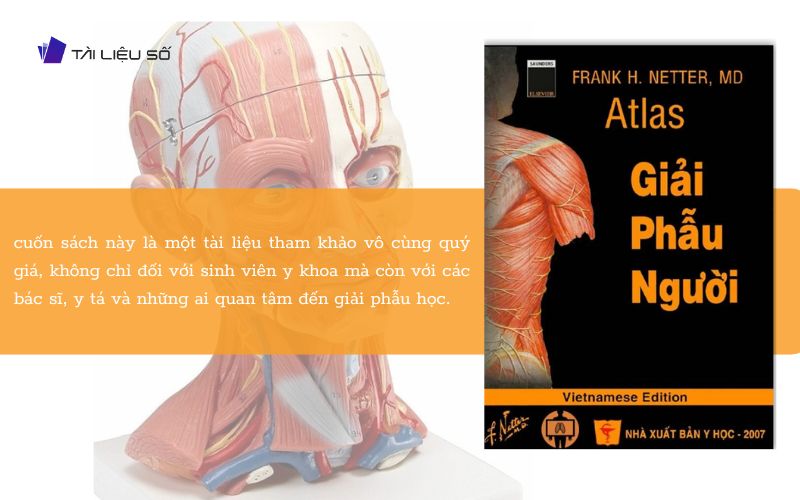 Giới thiệu sách Atlas giải phẫu người PDF