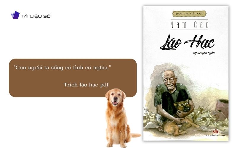 Những câu nói hay trong sách lão hạc PDF