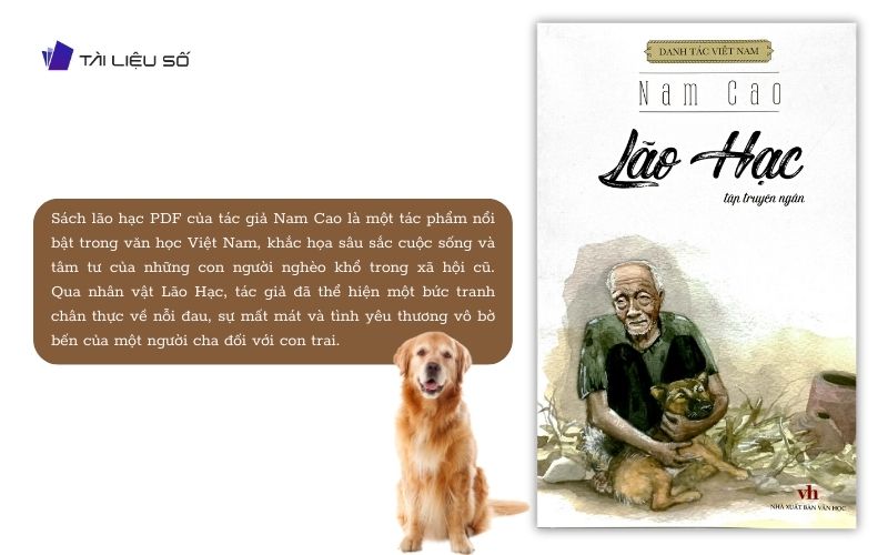 Giới thiệu sách lão hạc PDF